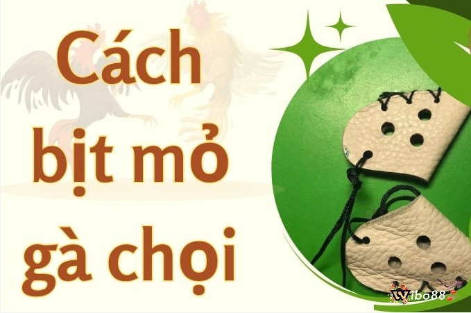Hướng dẫn cách làm bịt mỏ gà chọi chi tiết nhất