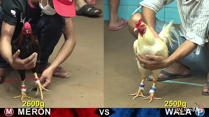 Xác định thời điểm thả cược giúp anh em thắng lớn với tỉ lệ trả thưởng cực cao