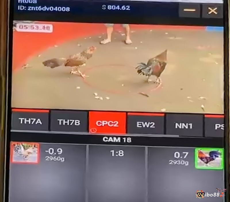 Quan sát tỷ lệ cá cược của nhà cái để phân tính và dự đoán được diễn biến của trận đấu