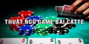 Thuật ngữ bài catte - Tổng hợp từ A-Z thuật ngữ phổ biến nhất