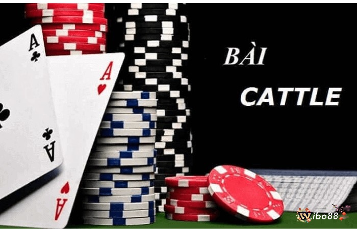 Catte là một trò chơi bài phổ biến với lối chơi đơn giản được nhiều người chơi yêu thích
