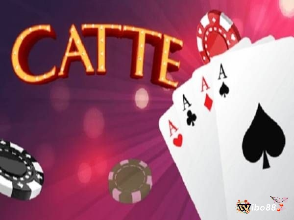 Nắm vững thuật ngữ bài catte giúp người chơi hiểu rõ luật chơi giúp người chơi tự tin khi tham gia trò chơi này